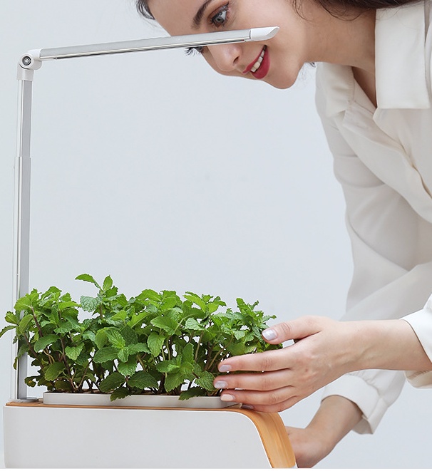 Hydroponic Container Flower Pot Garden Patio ABS It Is Not Easy To Deform Ventilation Storage Container Vegetable Spring - Image 5