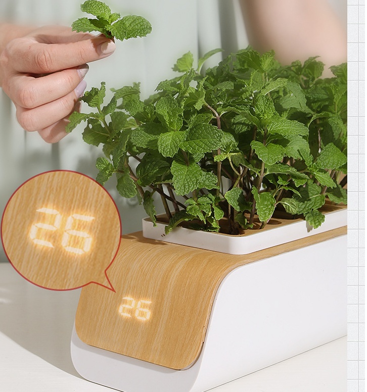 Hydroponic Container Flower Pot Garden Patio ABS It Is Not Easy To Deform Ventilation Storage Container Vegetable Spring - Image 4