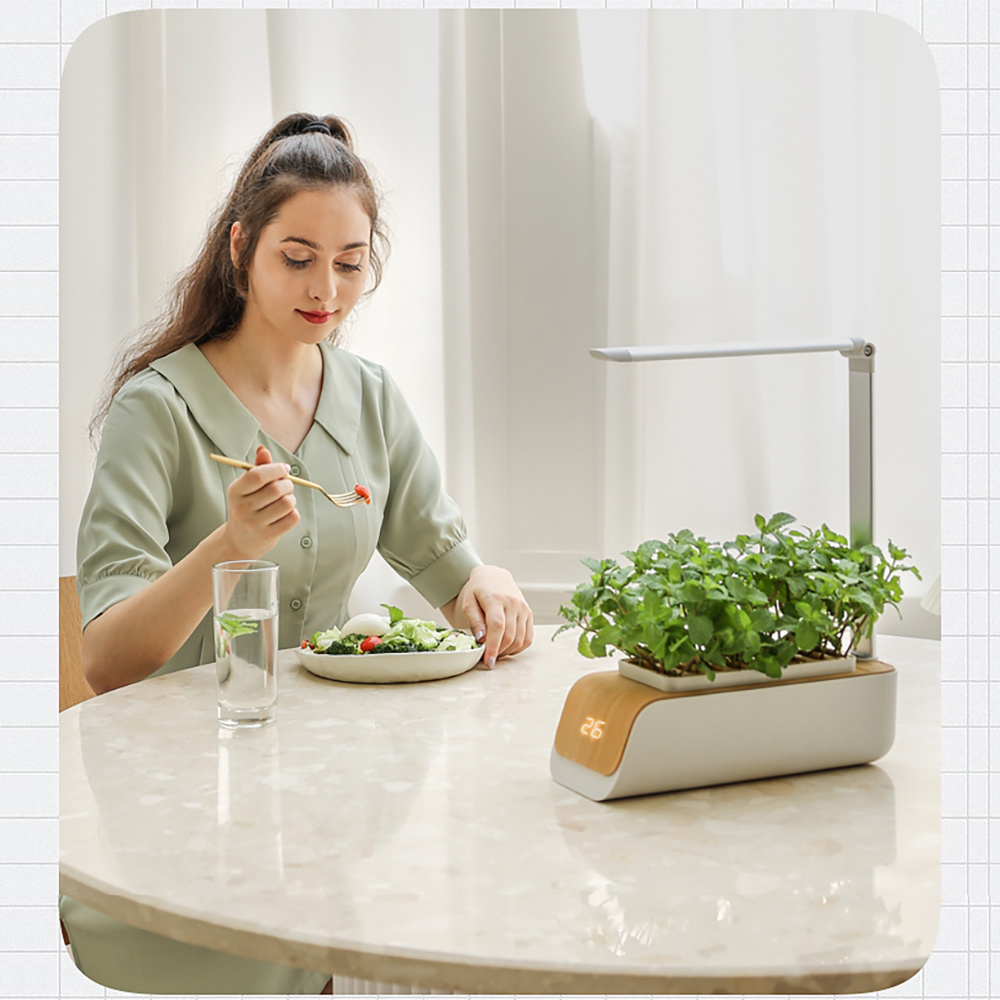 Hydroponic Container Flower Pot Garden Patio ABS It Is Not Easy To Deform Ventilation Storage Container Vegetable Spring - Image 3